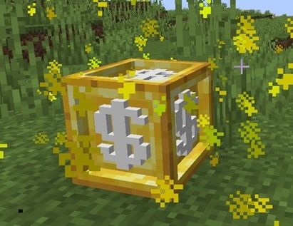 MC Prize Block Example